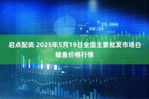 启点配资 2025年5月19日全国主要批发市场白鳝鱼价格行情